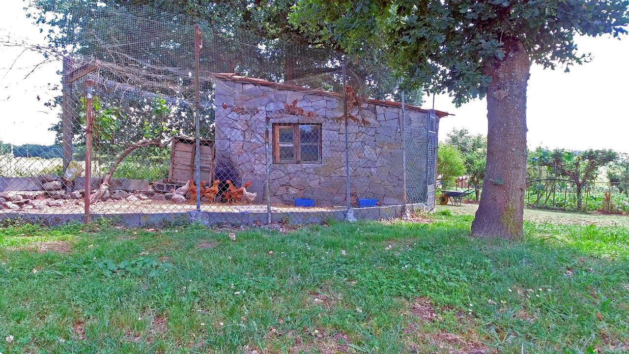 Torre Vilarino Pensjonat Vilarino  Zewnętrze zdjęcie